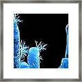 Iceparticles Framed Print