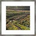 Icy Track Framed Print