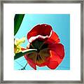 If Someone Doesn't Brighten Your Life Framed Print