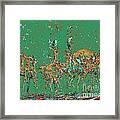 Impalas In The Green Bush Framed Print