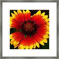 Imperfect Beauty Framed Print