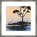 In A Mellow Mood Framed Print