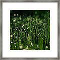 In Dreams Awake Framed Print