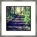 In Search Of Bluebell Valley Framed Print