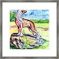 In The Meadow Framed Print