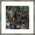 In The Wood Framed Print