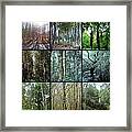 In The Woods Framed Print