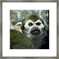 In Thought Framed Print