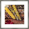 Indian Corn Framed Print