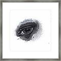 Indys Eye Framed Print