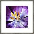 Inner Beauty Framed Print