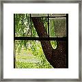 Inside Looking Out Framed Print