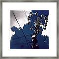 #iphoneography #jj #iphonesia Framed Print