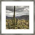 It Does Snow In The Desert Framed Print