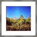 It's Beginning To Look A Lot Like Fall Framed Print