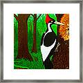 Ivory-billed Woodpecker Framed Print