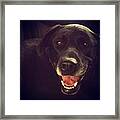 Jack Is Ready For His Close Up Framed Print