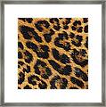 Jaguar Panthera Onca Skin Framed Print