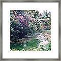 Jamaica At It's Best Framed Print