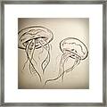 #jellyfish #drawing Framed Print