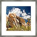 Joshua Tree Framed Print