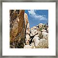 Joshua Tree Rocks Framed Print