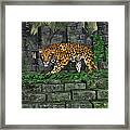 Jungle Ruins Jaguar Framed Print
