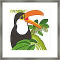 Jungle Toucan Framed Print