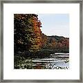 Just Simple Beauty Framed Print
