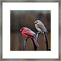 Just The Two Of Us Framed Print