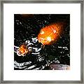 Koi Chorus Framed Print