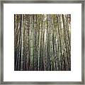#kyoto #arashiyama Framed Print
