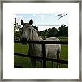 Lady In The Spring Framed Print