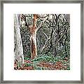 Lady Of The Forest Australia Framed Print