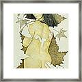 Lady Of The Leaf 4 Framed Print