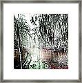 Lake Martin Swamp Framed Print