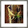 Lake Shasta Waterfall 3 Framed Print