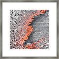 Lava Flowing From Under Crust Of Lava Framed Print