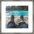 Laying Out By The Pool Framed Print