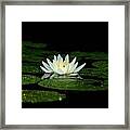 Light And Dark Framed Print