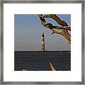 Lighthouse Through Driftwood Framed Print