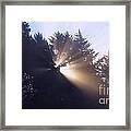 Lighting The Day Framed Print