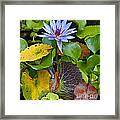 Lilies No. 24 Framed Print