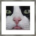 Lily Love Photography Framed Print