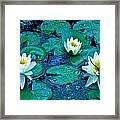 Lily Three Framed Print