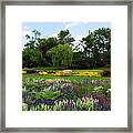 Lincoln Park Gardens Framed Print