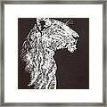 Lion Framed Print