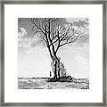 Lone Tree On The Prairie Framed Print