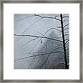 Loneliness Framed Print