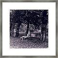 Lonely Chair Framed Print